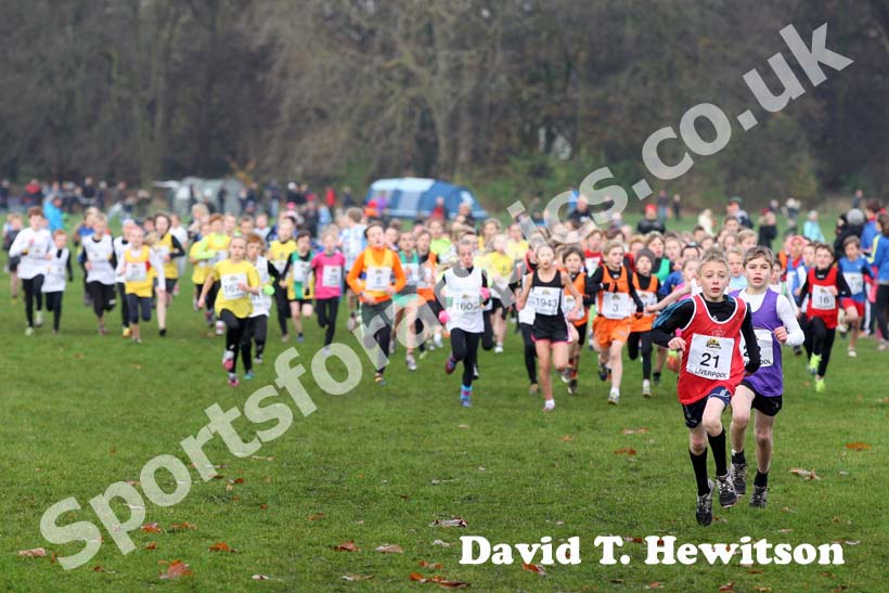 Under-11s start,  2012 McCain Liverpool Cross Challenge.